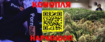 a pvp Конаково