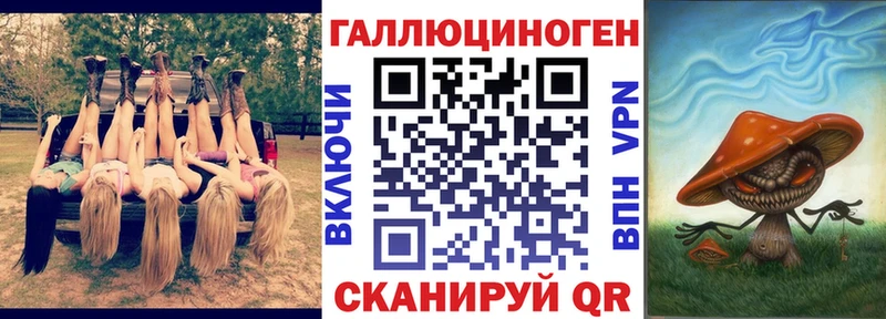 ОМГ ОМГ как войти  Якутск  Галлюциногенные грибы мицелий 