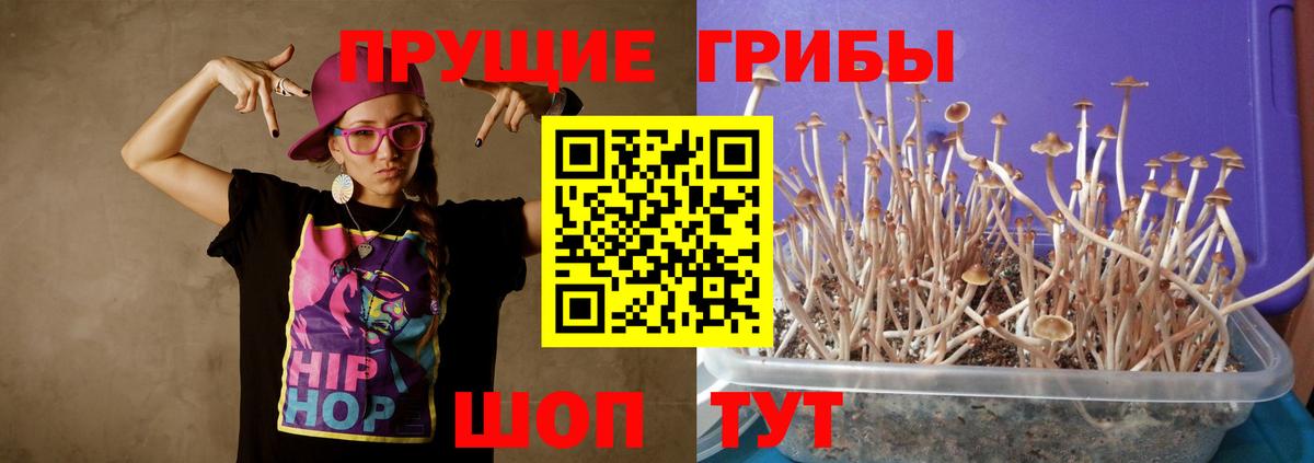 Псилоцибиновые грибы мухоморы  Галлюциногенные грибы MAGIC MUSHROOMS  Якутск  Вход с VPN 